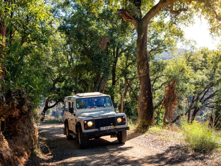 VIP - Exclusive Jeep.