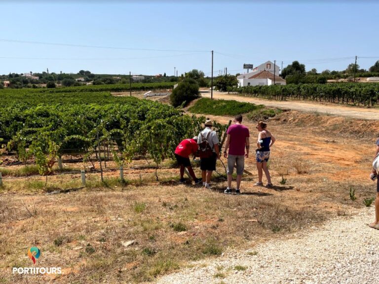 Algarve Countryside Jeep Tour And Wine Tasting Starting From Portimão.