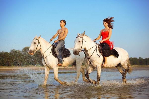 Beach And Rainforest Horseback Riding Expedition. Private Tour