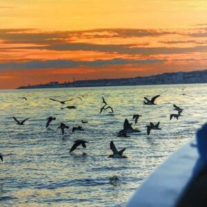 Sunset Boat Tour - Enjoy the amazing sunset Ponta Delgada has to offer. Relax at our comfortable boat, music on board and...