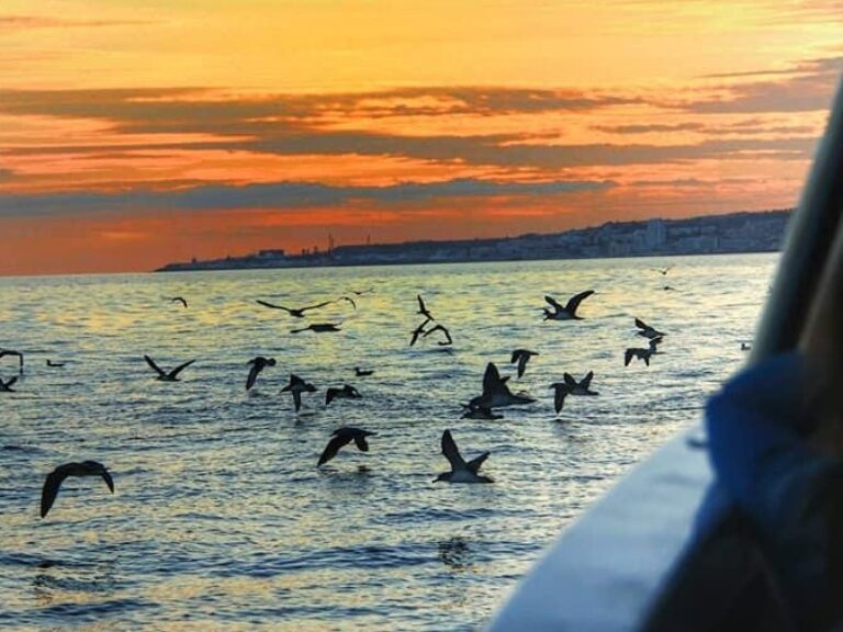 Sunset Boat Tour - Enjoy the amazing sunset Ponta Delgada has to offer. Relax at our comfortable boat, music on board and...