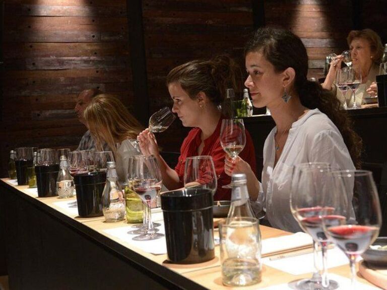 Full-Day Private Best Wine Experience Tour in Santiago