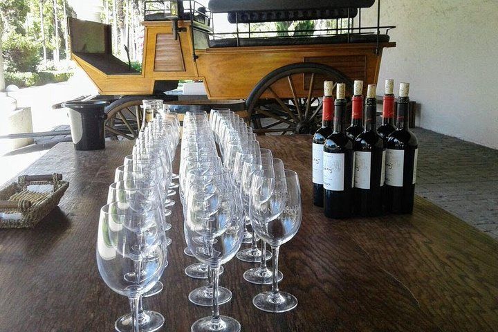 Wine Tour And Santiago City In A Small Group