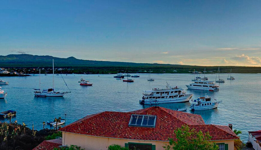 Puerto Ayora, a bustling town on Santa Cruz Island in the Galapagos, beckons with its unique charm and warm hospitality. Just a short boat ride from the famous Charles Darwin Research Station and Tortuga Bay, it's a hotspot for travelers seeking adventure. With vibrant streets and an array of shops and restaurants, it serves as the perfect base to explore nearby locations like Isabela Island and San Cristobal Island.