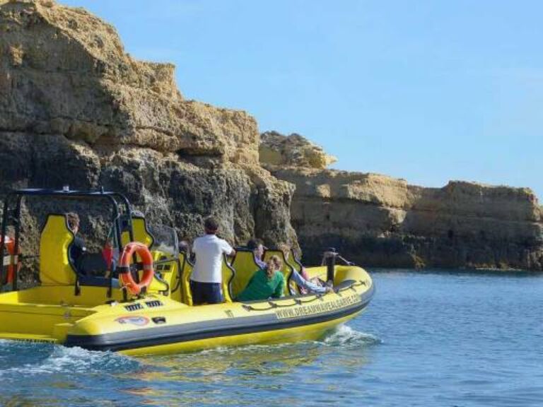 Insonia Private boat - Combines dolphin watching & cave visits