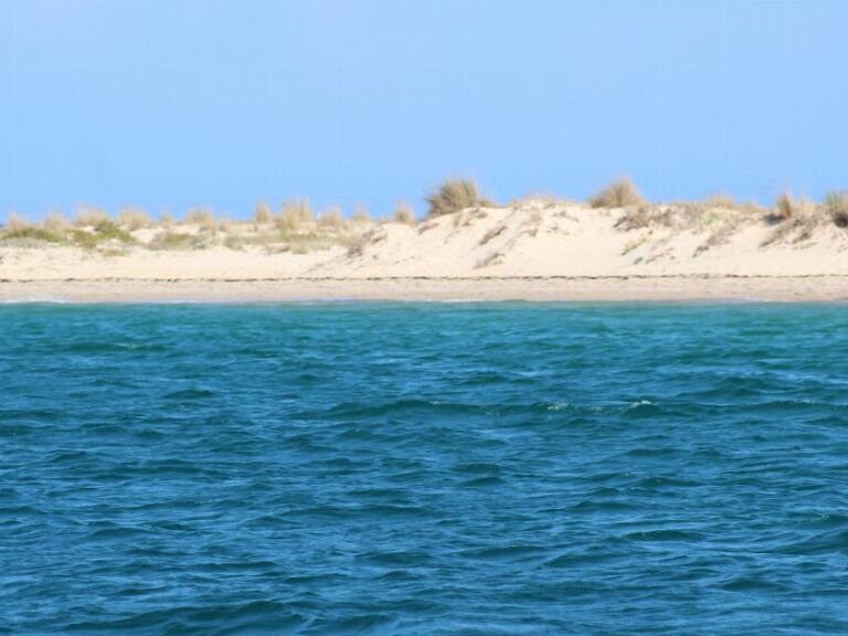 Private Catamaran Boat Tour: We will take you to the best desert beaches and some of the best secret spots while you enjoy all the luxury aboard our boats. Trips are at the Ria Formosa Natural Park with departure from Faro.