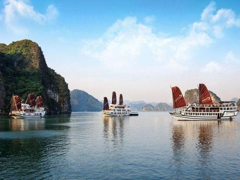 Best Of The North Vienam (Hanoi Sapa Halong Bay With 6 Day Group Tour)