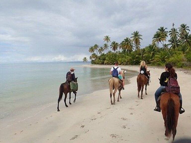 2 Hour Horseback Riding On The Beaches Of Punta Cana