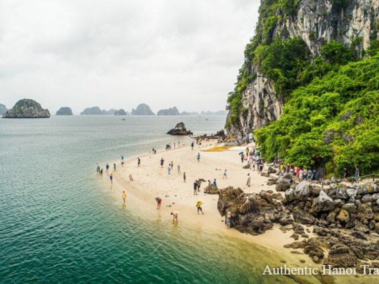 Alova Premium Cruise-Deluxe Day Tour in Ha Long: Titop Island, Kayaking, Expressway