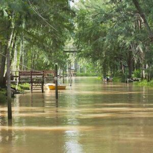 Delta Tour By Boat And Guided Tigre City Tour