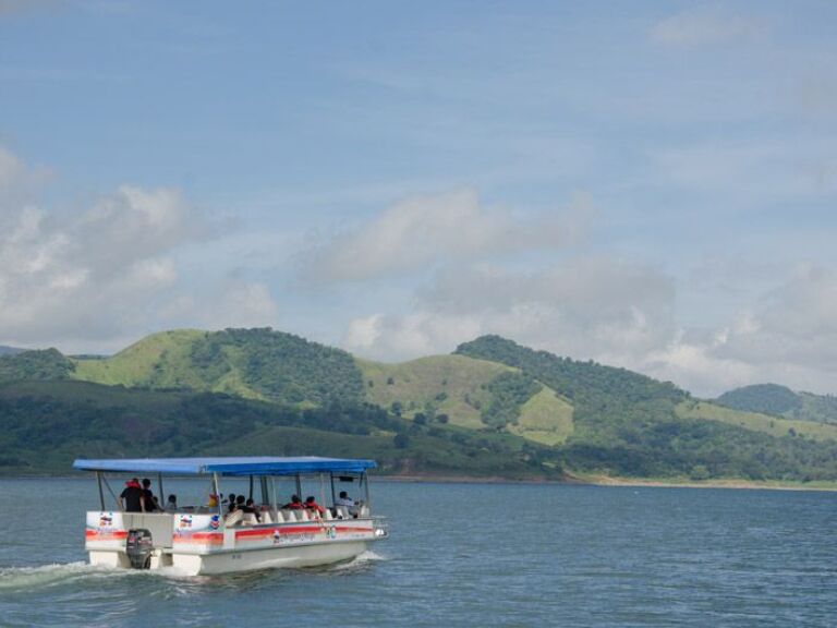 Sunset Birdwatching Boat Tour At Arenal Lake