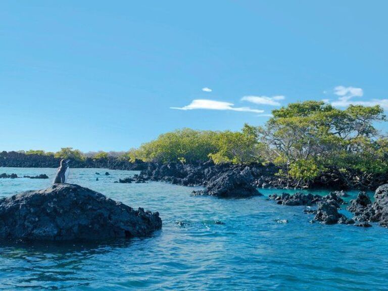 8 Days Island Hopper : Santa Cruz - Isabela Island And San Cristobal