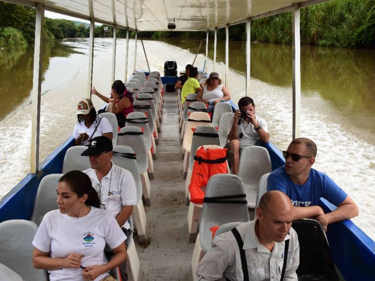 Palo Verde Boat Safari Plus Cortés Waterfall And Liberia City Tour And Shopping