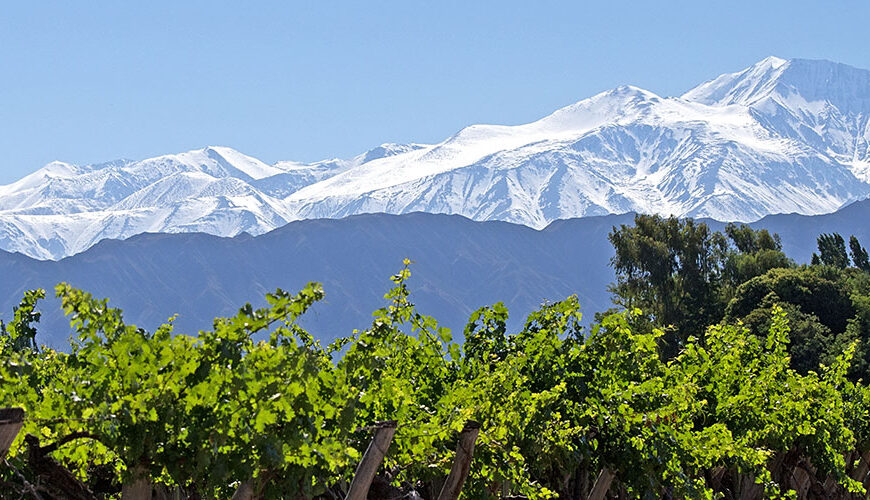 Luján de Cuyo is a world-renowned wine region in Argentina, known for its award-winning wines and stunning landscapes. The region is home to some of the country's most popular tourist attractions, including the world-famous wineries of Bodega Norton and Bodega Catena Zapata.