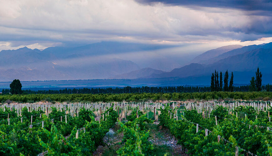 Mendoza is a beautiful city located in the central-western part of Argentina.