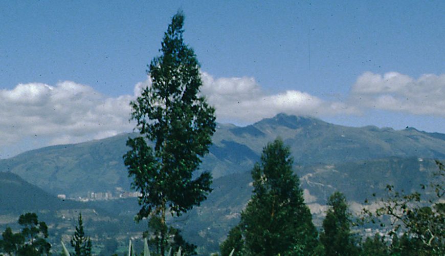 Pichincha is a beautiful province located in the northwest of Ecuador. Its capital, Quito, is the country's capital city. The province is home to many different touristic attractions, such as the Cotopaxi volcano, one of the highest volcanoes in the world. Other popular attractions include mountaintop lakes, hiking trails, and hot springs.