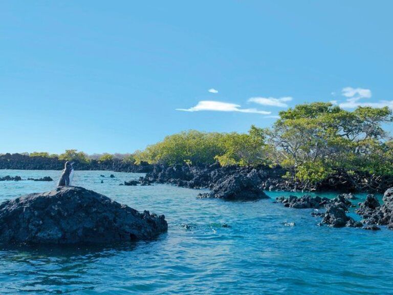 5 Days Galapagos Tour: Santa Cruz And Isabela Islands