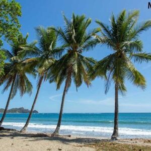 Natural Beauty Tour In Costa Rica
