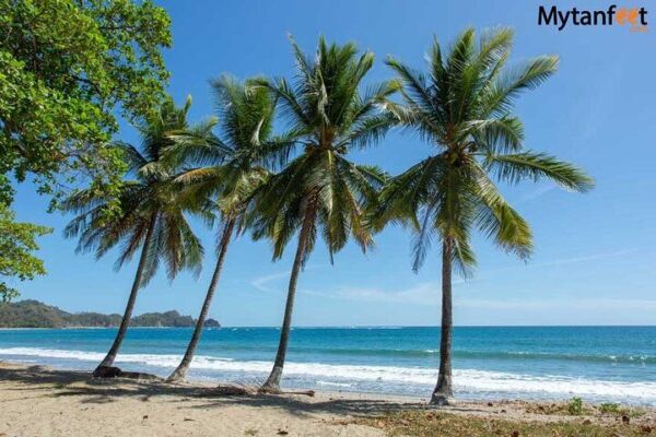 Natural Beauty Tour In Costa Rica: 10-days