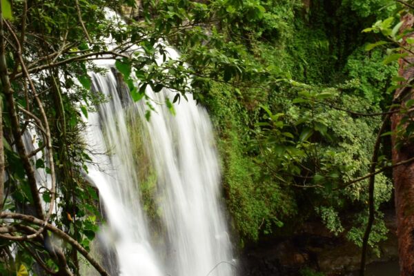 Palo Verde Boat Safari Plus Cortés Waterfall And Liberia City Tour And Shopping