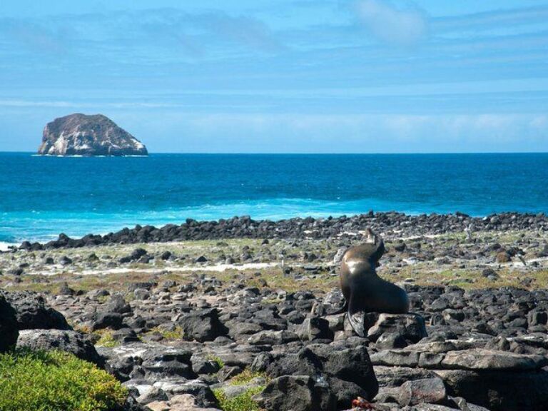 4 Days Galápagos Island Hopper: Santa Cruz And Isabela Islands