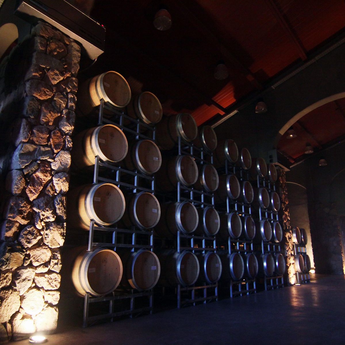 4 Days - Adventure In Mendoza And The Best Wineries Of Argentina