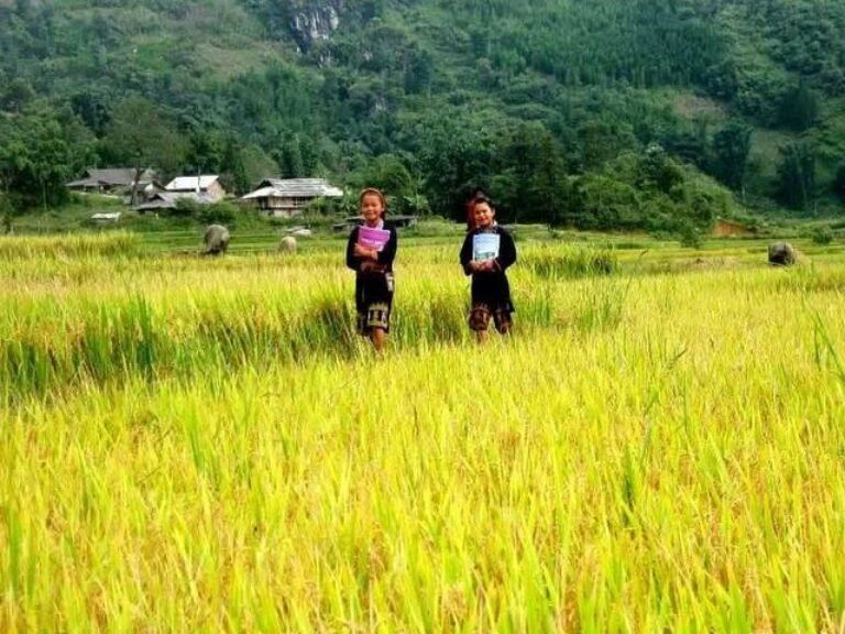 Authentic Sapa Trekking With Local Family Homestay
