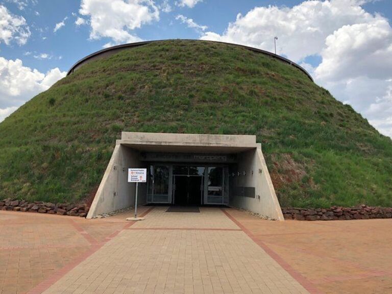 Cradle of Humankind Tour combined with a Lion Safari from Johannesburg