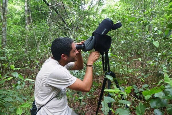 Private – Birdwatching Tour in Sian Ka’an Muyil