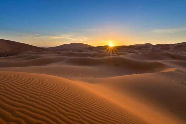 Sunrise Desert Safari