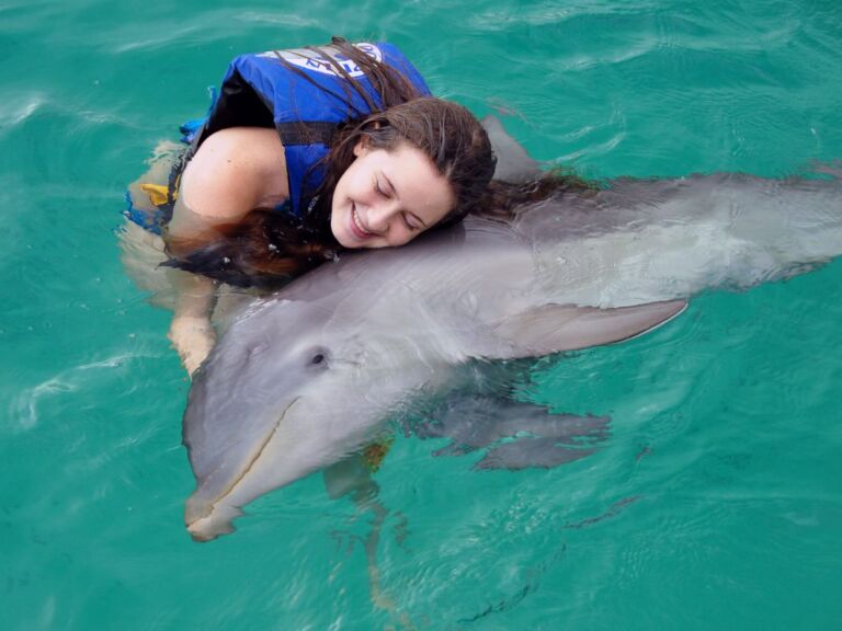 Dolphin Xtreme From Cancun