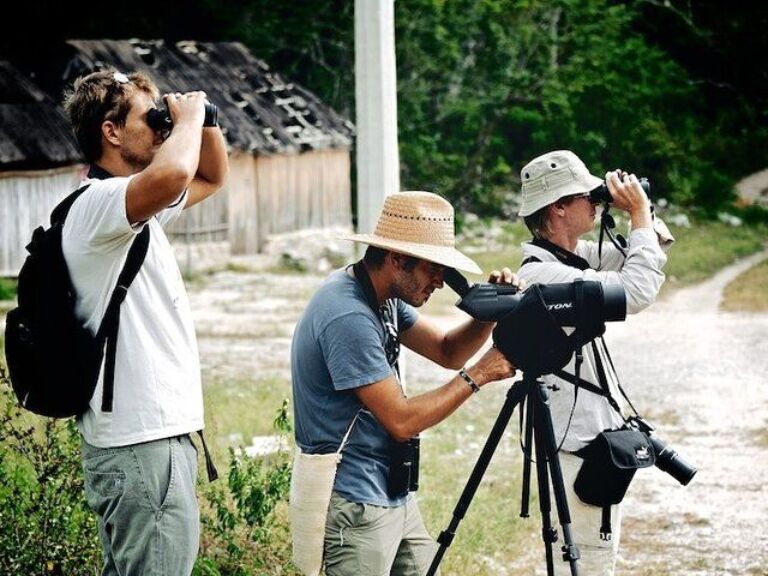 Private - Birdwatching Tour in Sian Ka'an Muyil