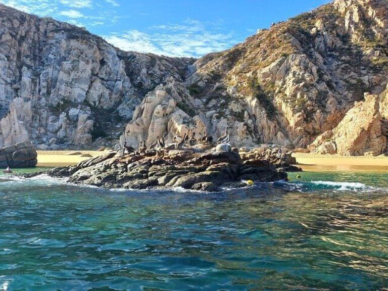 Clear Boat Tour in Cabo San Lucas