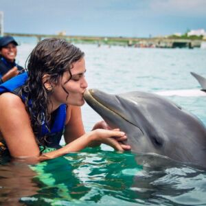 Dolphin Xtreme From Riviera Maya