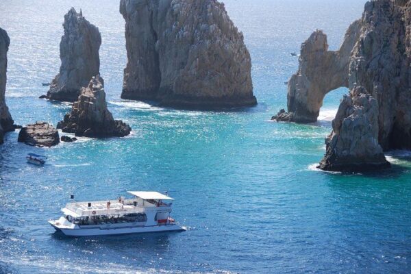 Cabo San Lucas Whale Watching Tour All Included
