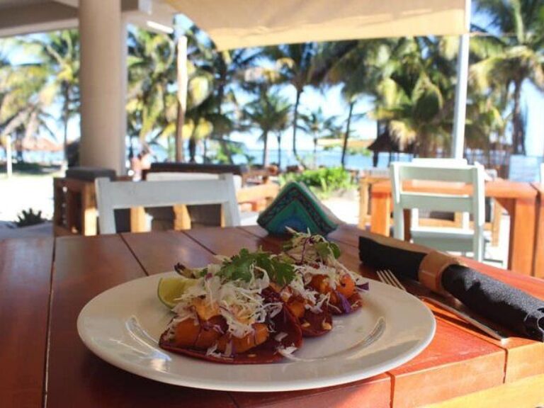 Costa Maya Premium Beach Break Experience Transportation, Food & Drinks Included