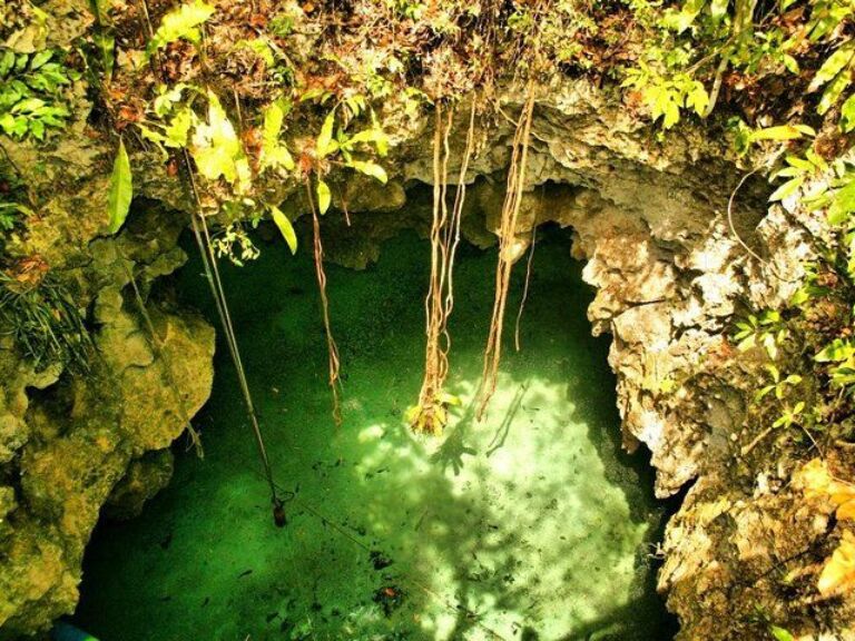 Mayan Underworld Caribbean Sea Snorkel And Cenote
