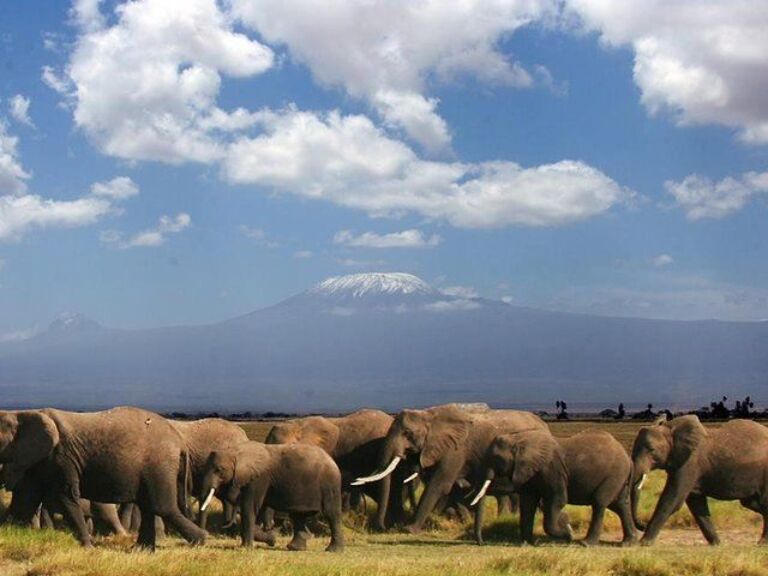 15-Day Kenya Safari