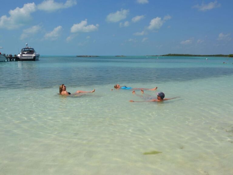 Isla Contoy And Isla Mujeres Tour With Snorkeling From Cancun Or Playa Del Carmen