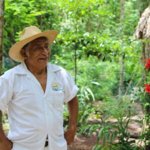 Coba Ruins Day Trip From Cancun Or Riviera Maya