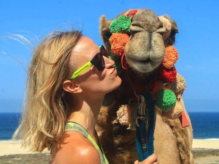 Cabo Camel Ride Experience