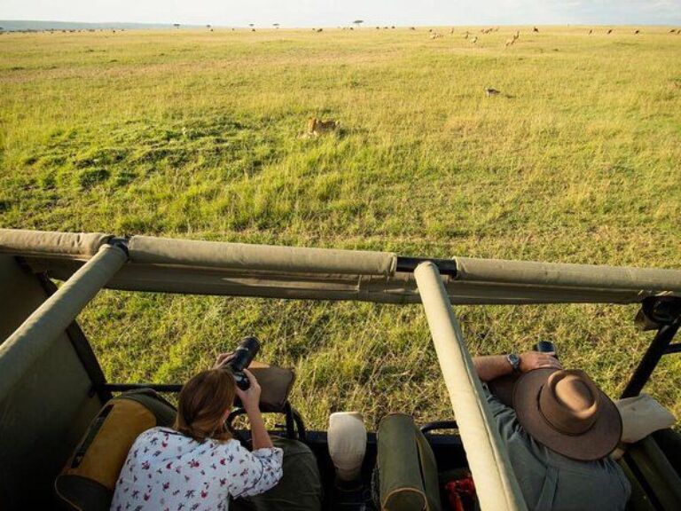 2-Day Maasai Mara - Overnight Safari in a 4*4 Jeep