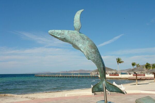 Explore Old Mining Towns, Fishing Villages, Artist Town and the City of La Paz