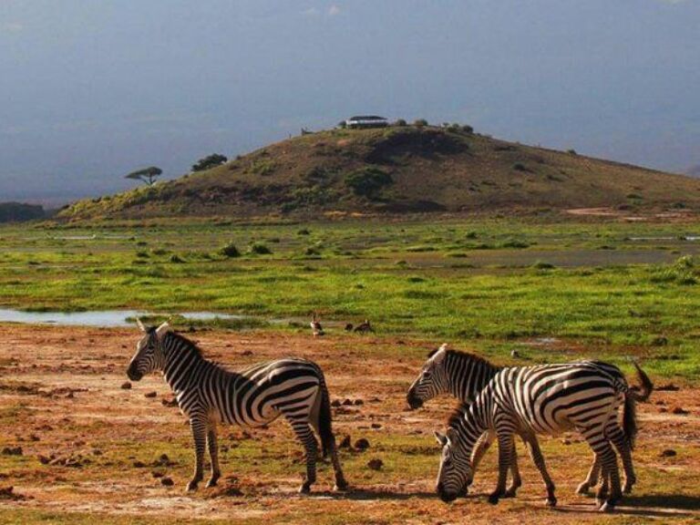 3-Day Mombasa to Amboseli Safari
