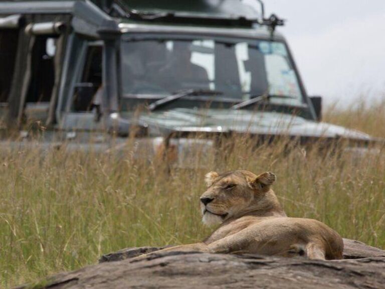 2-Day Maasai Mara - Overnight Safari in a 4*4 Jeep