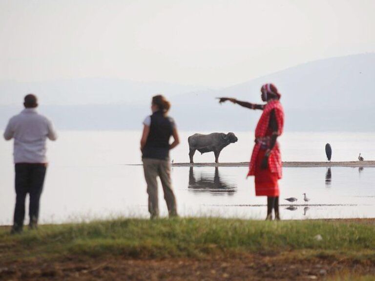 2-Day Lake Nakuru Safari
