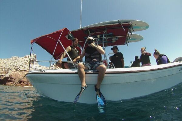 Espiritu Santo Island Combo: Sea Lions and Paddleboard 1 to 6 Private Group