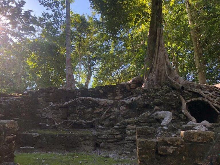 1 Day Kohunlich Mayan City Tour With Certified Guide