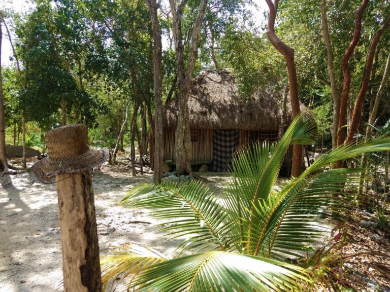 Combo Tour: Tulum, Cenote And 5th Avenue In Playa Del Carmen From Cancun