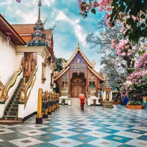 Doi Suthep and Wat Pha Lat Sunrise Small Group Tour – Half Day. Wake up to a mesmerizing sunrise atop Wat Phrat That Doi Suthep. This iconic golden pagoda, not only offers spiritual serenity but also panoramic views that will leave you spellbound. The morning sun casting golden hues on the temple is a sight to behold and an experience you shouldn't miss.